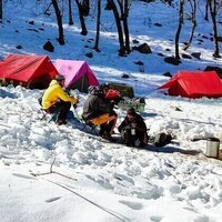 camping in manali